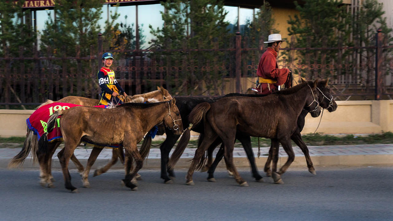 Mongolie à vélo 2633